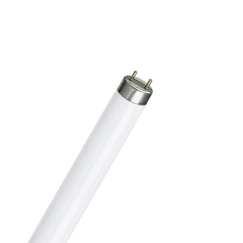 Osram Phlips 58W Floresan Lamba T8